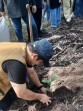 Kopi di Tengah Sawit, Bukti Semangat Baru Petani Bengkalis Menyongsong Pertanian Lestari