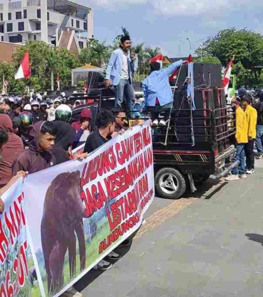 Keras, AMPH Desak Satgas PKH Tindak Cukong Perambah TNTN