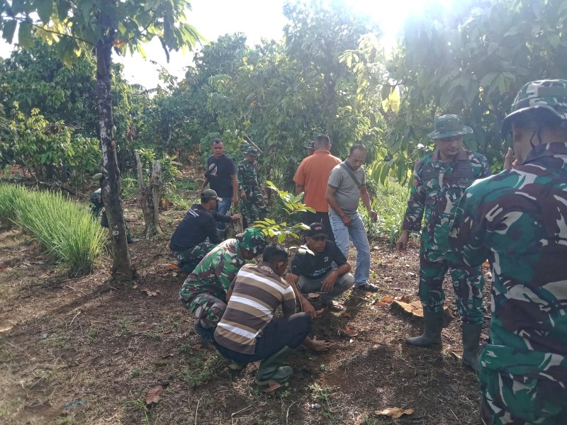 Bangun Ketahanan Pangan dari Desa, Satgas TMMD Ke-129 Tanam Mangga, Durian hingga Petai Bersama Warga