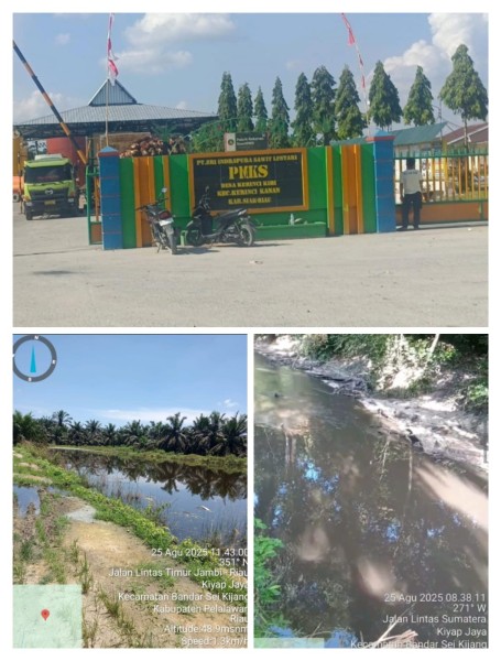 Tercemar Limbah PT SISL, Sungai Kiyap Jaya Tak Ada Lagi Ikan